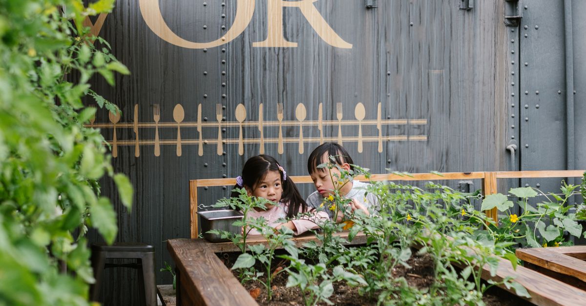 Cooking Classes